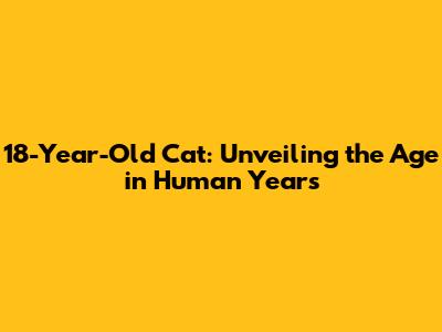 18-Year-Old Cat: Unveiling the Age in Human Years