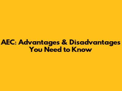 AEC: Advantages & Disadvantages You Need to Know
