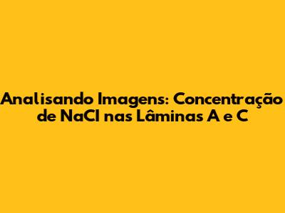 Analisando Imagens: Concentração de NaCI nas Lâminas A e C