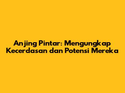 Anjing Pintar: Mengungkap Kecerdasan dan Potensi Mereka