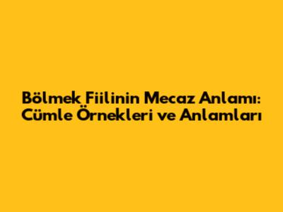 Bölmek Fiilinin Mecaz Anlamı: Cümle Örnekleri ve Anlamları