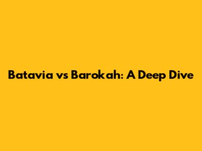 Batavia vs Barokah: A Deep Dive
