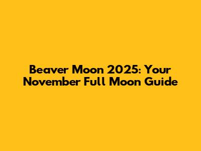 Beaver Moon 2025: Your November Full Moon Guide