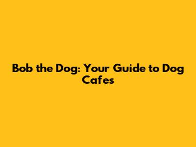 Bob the Dog: Your Guide to Dog Cafes