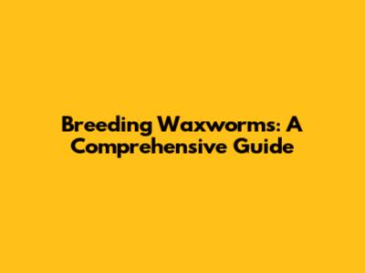 Breeding Waxworms: A Comprehensive Guide