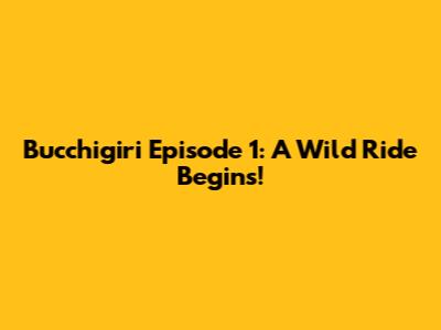 Bucchigiri Episode 1: A Wild Ride Begins!
