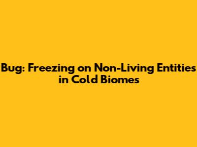 Bug: Freezing on Non-Living Entities in Cold Biomes