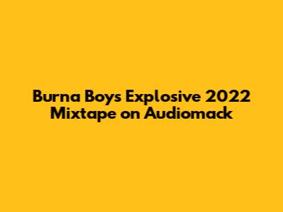 Burna Boy's Explosive 2022 Mixtape on Audiomack