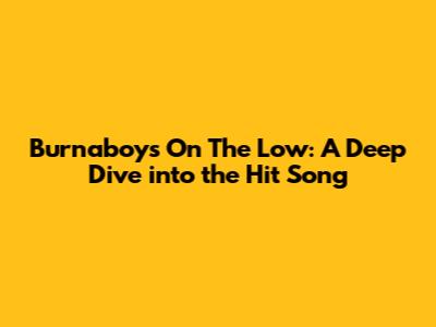 Burnaboy's 'On The Low': A Deep Dive into the Hit Song