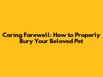 Caring Farewell: How to Properly Bury Your Beloved Pet