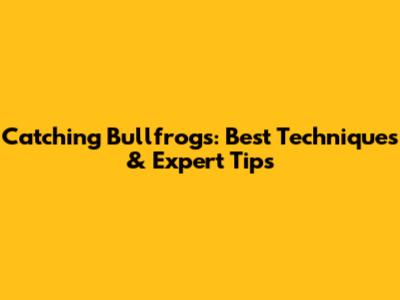 Catching Bullfrogs: Best Techniques & Expert Tips
