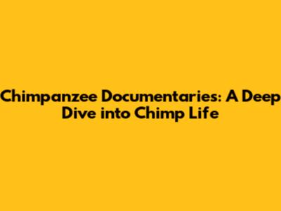 Chimpanzee Documentaries: A Deep Dive into Chimp Life