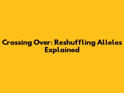 Crossing Over: Reshuffling Alleles Explained