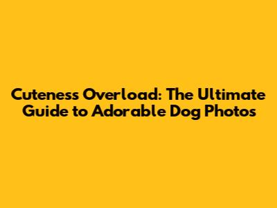 Cuteness Overload: The Ultimate Guide to Adorable Dog Photos