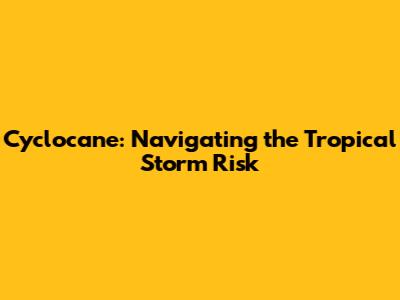 Cyclocane: Navigating the Tropical Storm Risk