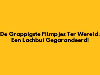 De Grappigste Filmpjes Ter Wereld: Een Lachbui Gegarandeerd!