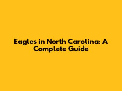 Eagles in North Carolina: A Complete Guide