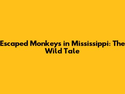 Escaped Monkeys in Mississippi: The Wild Tale