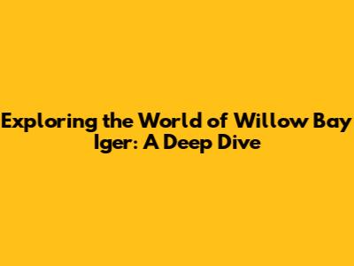 Exploring the World of Willow Bay Iger: A Deep Dive