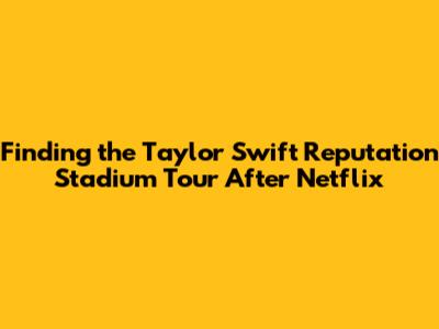 Finding the Taylor Swift Reputation Stadium Tour After Netflix