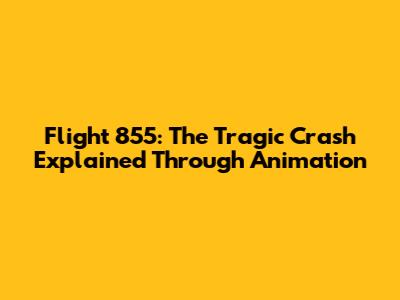 Flight 855: The Tragic Crash Explained Through Animation