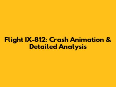 Flight IX-812: Crash Animation & Detailed Analysis