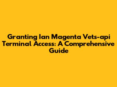 Granting Ian Magenta Vets-api Terminal Access: A Comprehensive Guide