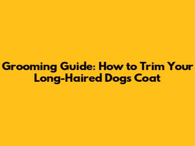 Grooming Guide: How to Trim Your Long-Haired Dog's Coat