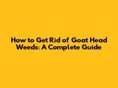 How to Get Rid of Goat Head Weeds: A Complete Guide