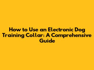 How to Use an Electronic Dog Training Collar: A Comprehensive Guide