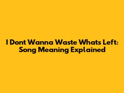 I Don't Wanna Waste What's Left: Song Meaning Explained