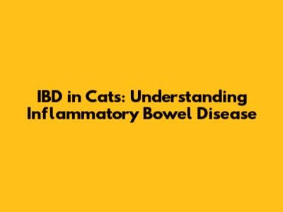 IBD in Cats: Understanding Inflammatory Bowel Disease