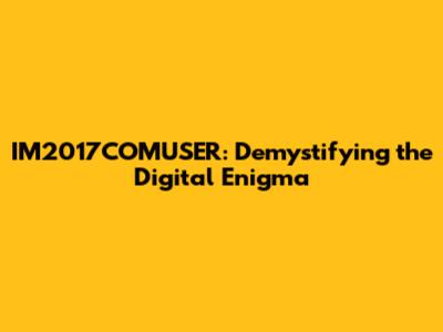 IM2017COMUSER: Demystifying the Digital Enigma
