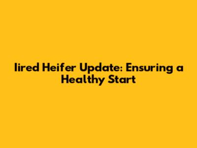 Iired Heifer Update: Ensuring a Healthy Start