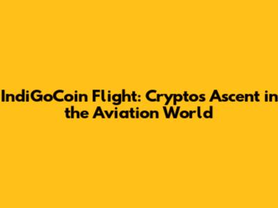 IndiGoCoin Flight: Crypto's Ascent in the Aviation World