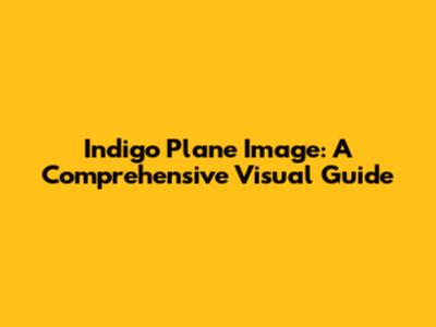 Indigo Plane Image: A Comprehensive Visual Guide