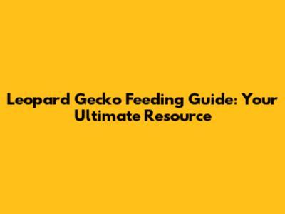 Leopard Gecko Feeding Guide: Your Ultimate Resource