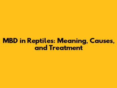 MBD in Reptiles: Meaning, Causes, and Treatment