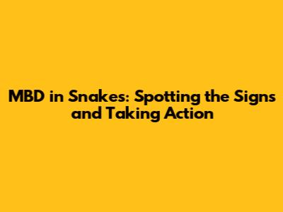 MBD in Snakes: Spotting the Signs and Taking Action