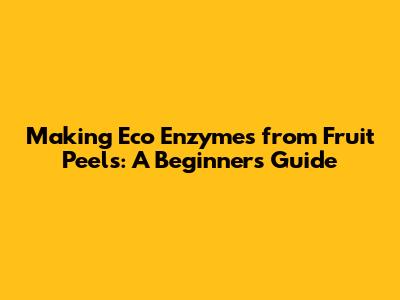 Making Eco Enzymes from Fruit Peels: A Beginner's Guide