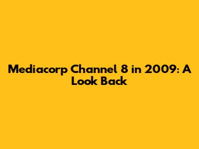 Mediacorp Channel 8 in 2009: A Look Back