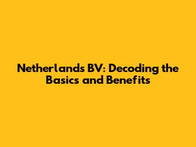 Netherlands BV: Decoding the Basics and Benefits