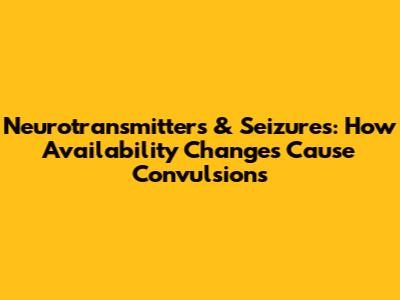 Neurotransmitters & Seizures: How Availability Changes Cause Convulsions