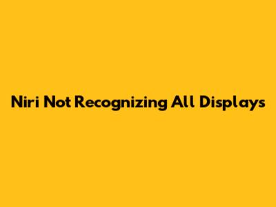 Niri Not Recognizing All Displays