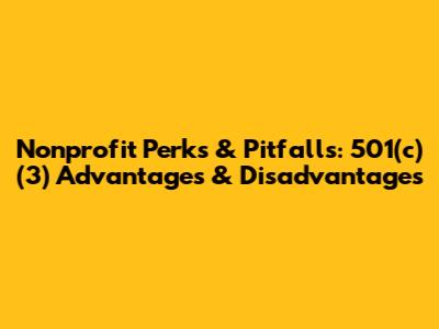 Nonprofit Perks & Pitfalls: 501(c)(3) Advantages & Disadvantages