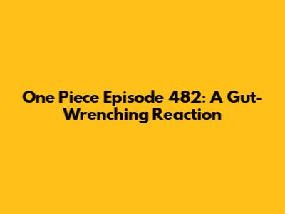 One Piece Episode 482: A Gut-Wrenching Reaction