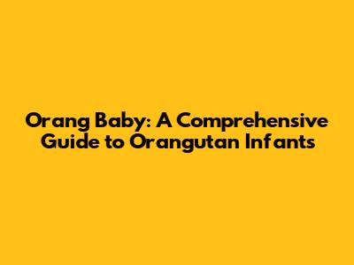 Orang Baby: A Comprehensive Guide to Orangutan Infants