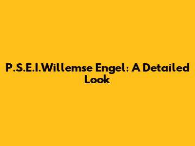 P.S.E.I.Willemse Engel: A Detailed Look