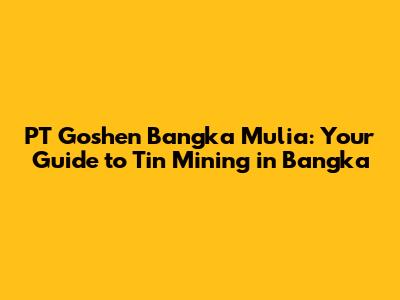 PT Goshen Bangka Mulia: Your Guide to Tin Mining in Bangka
