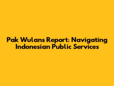 Pak Wulan's Report: Navigating Indonesian Public Services